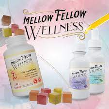 MELLOW FELLOW WELLNESS GUMMIES