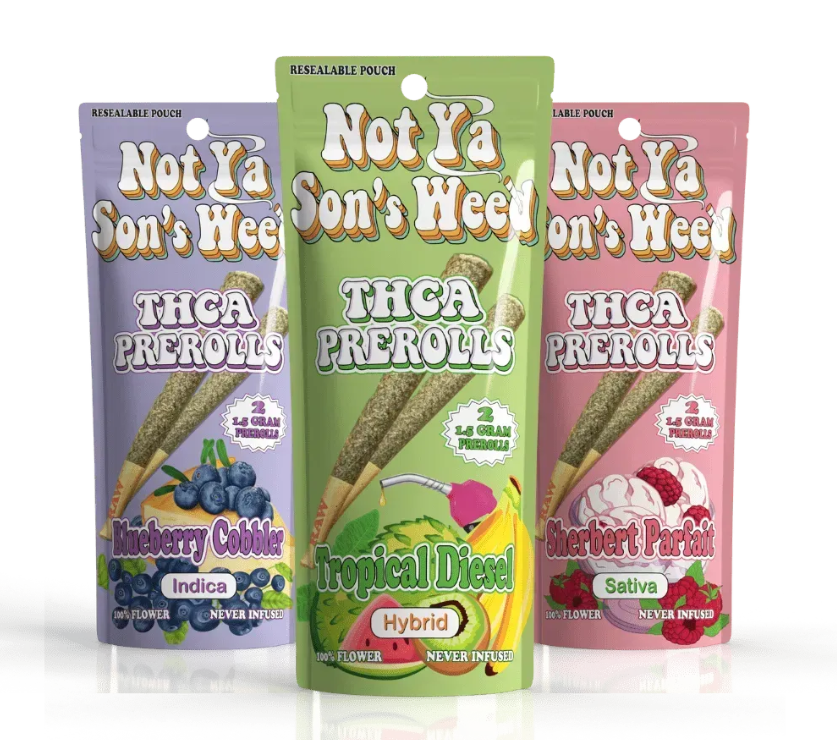 NOT YA SON'S WEED THCA 2PK 1.5G PRE ROLL BOX OF 10