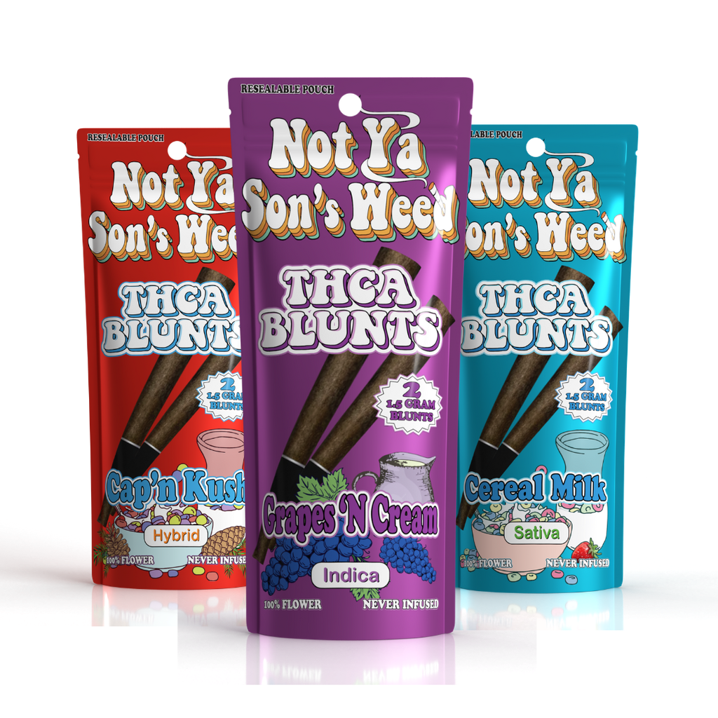 NOT YA SON'S WEED THCA 2PK 1.5G BLUNT BOX OF 10
