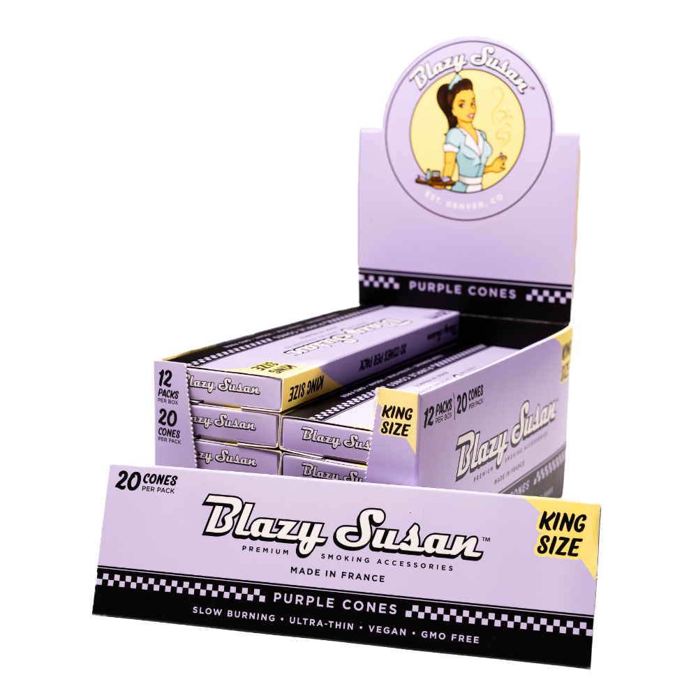 BLAZY SUSAN KING PURPLE CONES 20CT BOX OF 12