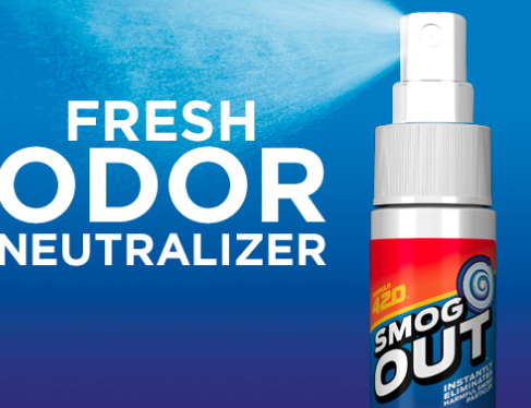 FORMULA 420 SMOG OUT 4OZ