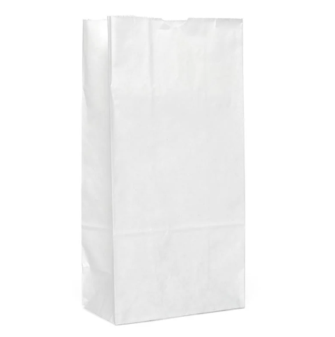PAPER BAGS #2 50CT WHITE