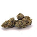 RASTA EXOTIC THCA FLOWER 2OZ